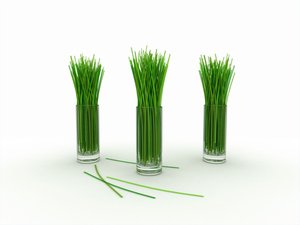 如何构建供应链管理的长效机制